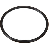 Speck Magic Pump Lid Oring