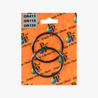 Davey Union Oring - Pack of 2, for Pumps - PowerAce, Powerchief, XB, Pool Pump, Celsior, XS, Thermajet