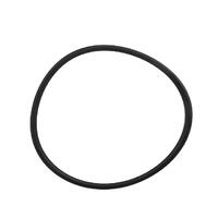 Filtrite Pool Light - Body O Ring 12v 150w Bowl