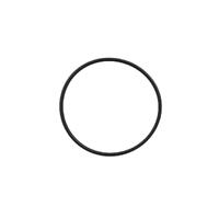 Zodiac Clearwater Cell Body B Series O-Ring (Old Style)