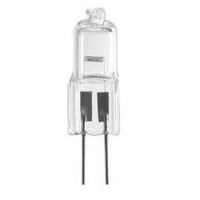 Pool Light Globe 24volt 100watt