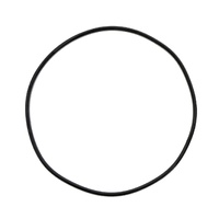 Jandy CJ Cartridge Filter Tank Oring