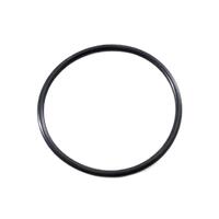 Zodiac Flo Pro & Flo Pro E3 Pump Lid Oring