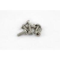 Spa Electrics SE3 Light Screws - 10 per pack