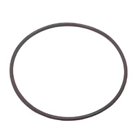 AstralPool XC Cartridge Filter Main Body O‑Ring – SP78488