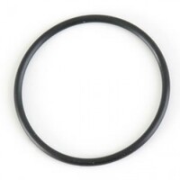 Swimworld Super Pump Lid Oring