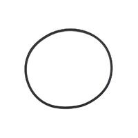 Swimworld Underwater Light Gasket for Lens - for Model SW20