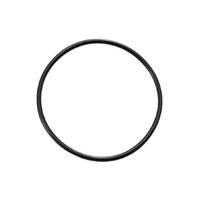 Zodiac Electrode O Ring 