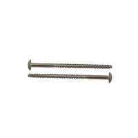 Spa Electrics WN250 Stainless Steel Screw - Set of 2