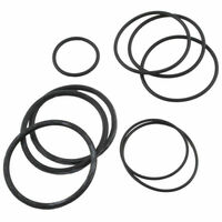 Jandy CV, CL, DEL, DEV Filter Oring Replacement Kit